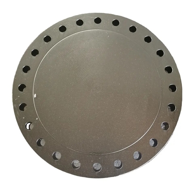 DE BLINDE FLENS GESMEDE FLENS VAN ASME/ANSI B16.47